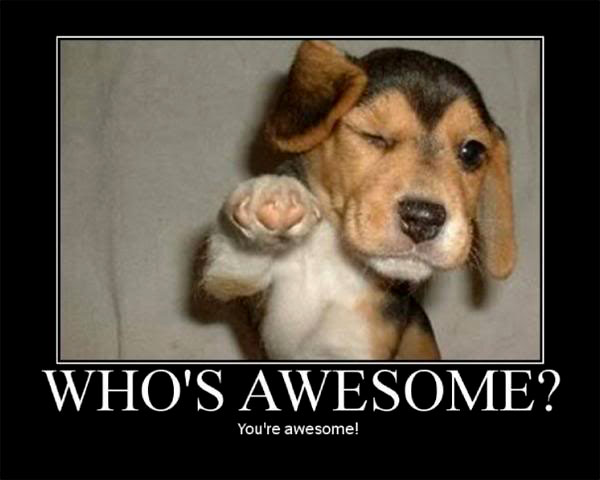 whos-awesome-funny-motivational-poster